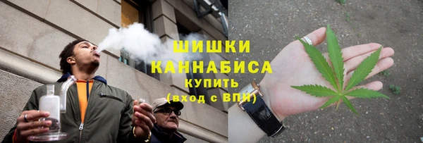 крисы Белоозёрский