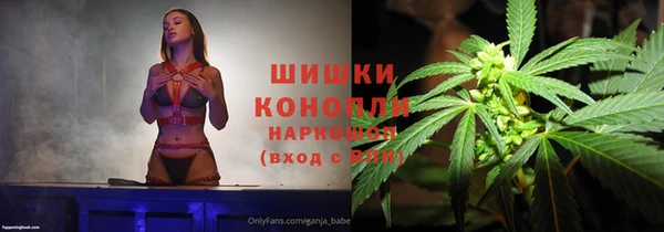 PSILOCYBIN Беломорск