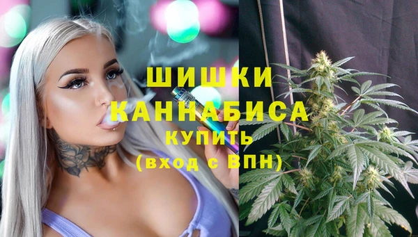 спайс Белокуриха