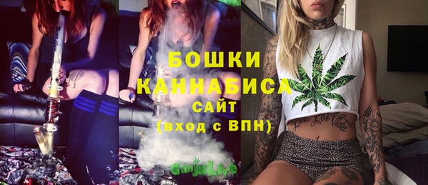 PSILOCYBIN Беломорск