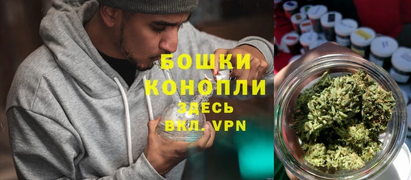 PSILOCYBIN Беломорск