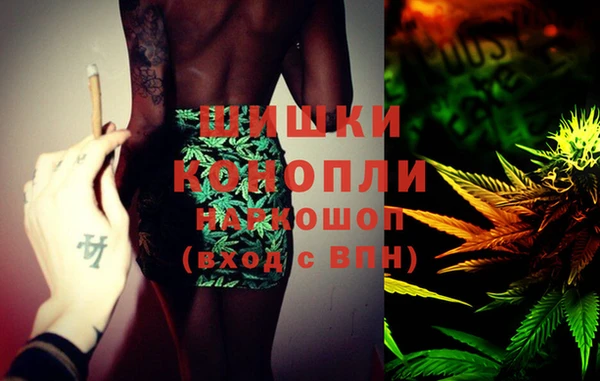 крисы Белоозёрский