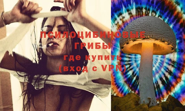 спайс Белокуриха